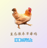 【仙居园生态农场】散养草母鸡（净重2斤/只以上）